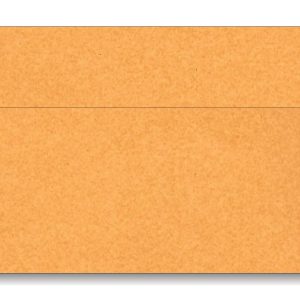 Shagun Envelope Design 6-10064