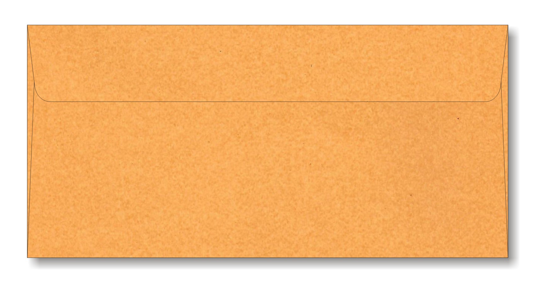 Shagun Envelope Design 6-10064